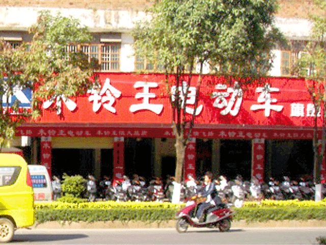 �������ƣ�����ľ�����綯��