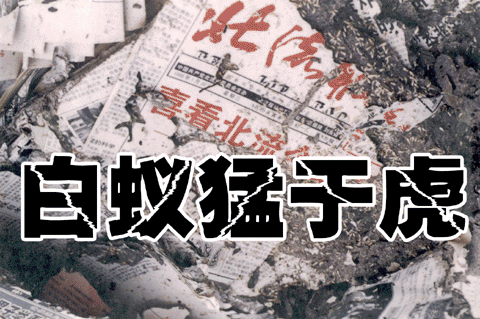 �������ƣ������а��Ϸ����о�����